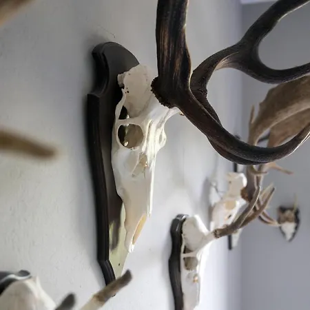 Hotell Deeke's Quellenhof Lubbecke