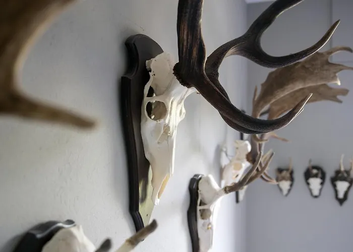 Hotel Deeke's Quellenhof Lubbecke